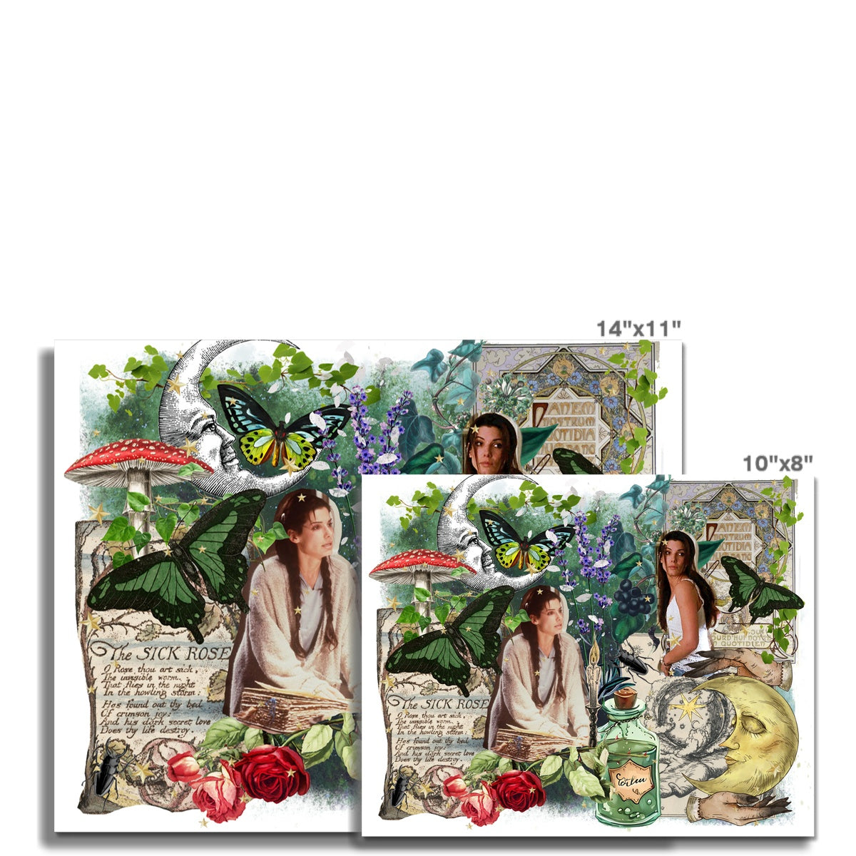 Sally Wall Art Poster