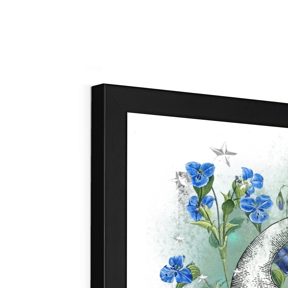 Hoa Hoa Framed Print