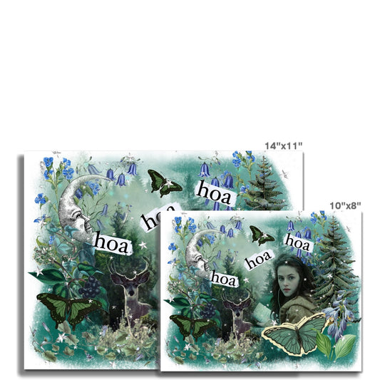 Hoa Hoa Wall Art Poster
