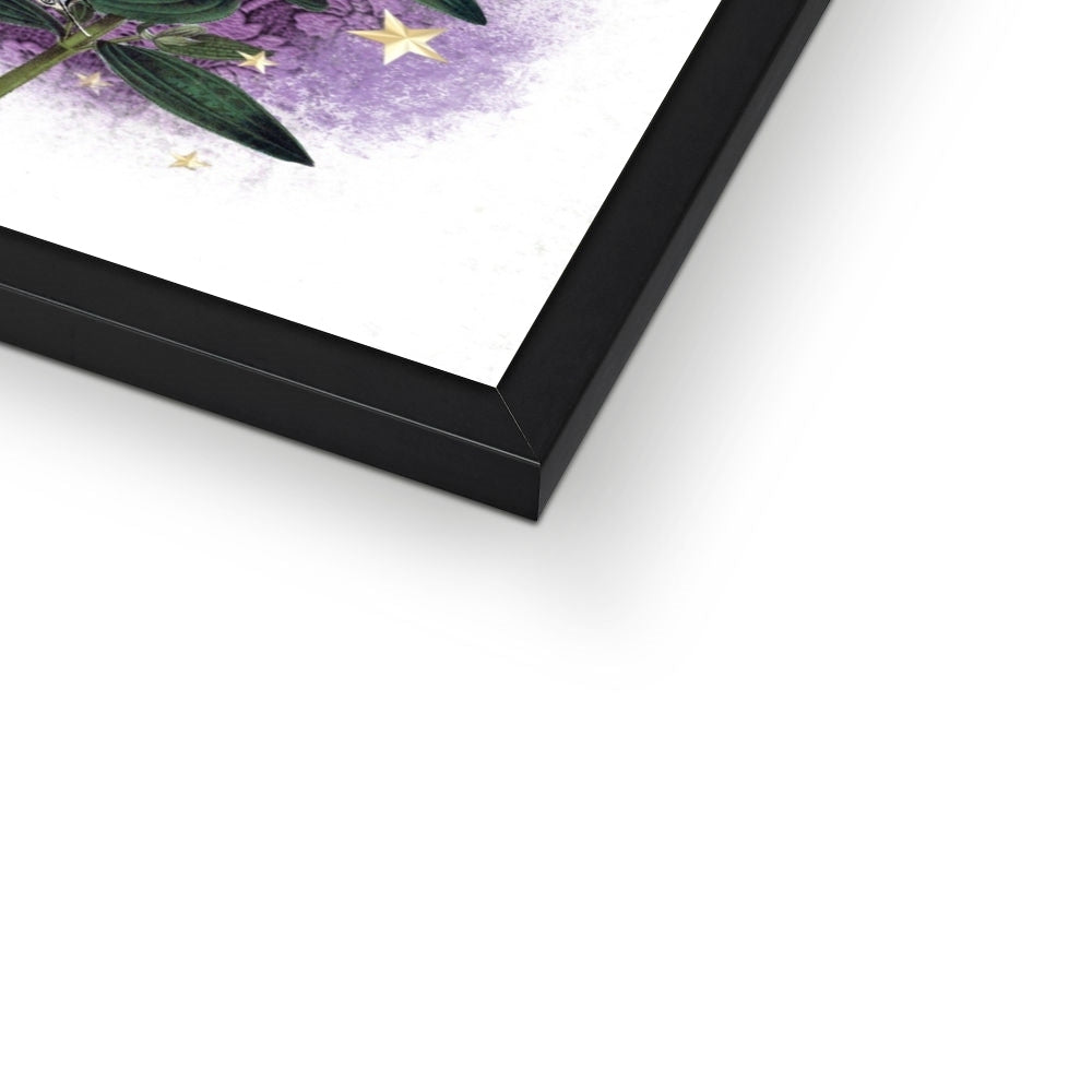 Purple is Cool Framed Print