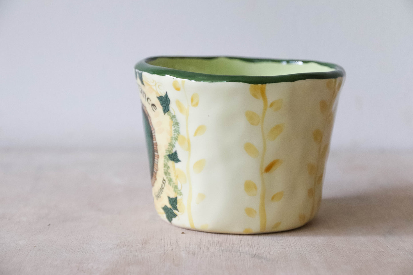 No Admittance Ivy Mug