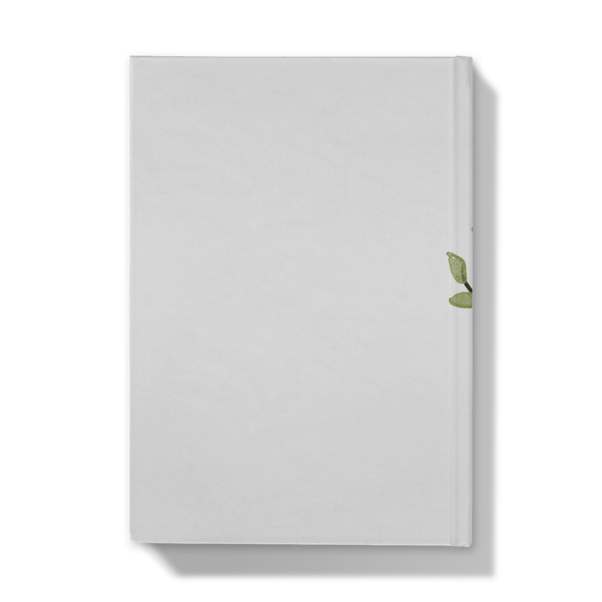image5